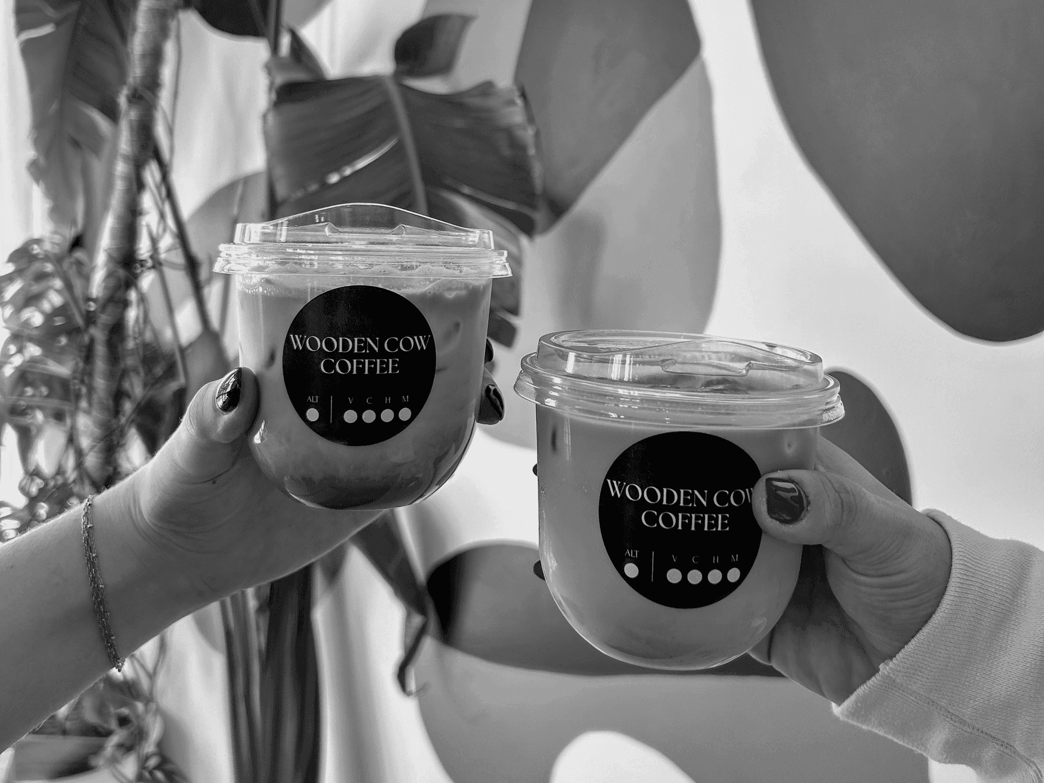 Two Wooden Cow Coffee iced lattes toasted together