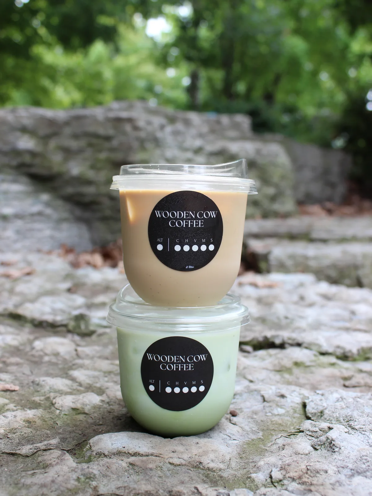 An iced caramel latte stacked on an iced matcha latte, both in branded Wooden Cow Coffee cups