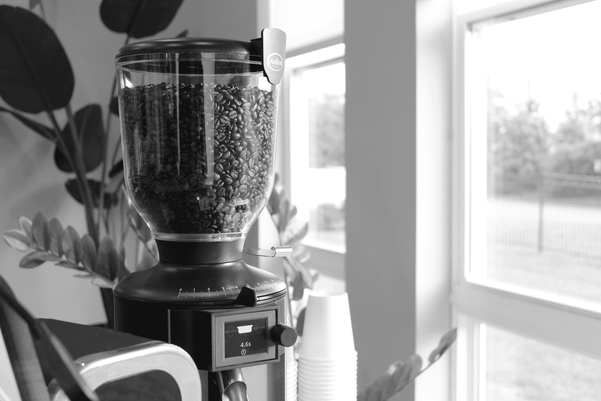 Grinder and beans