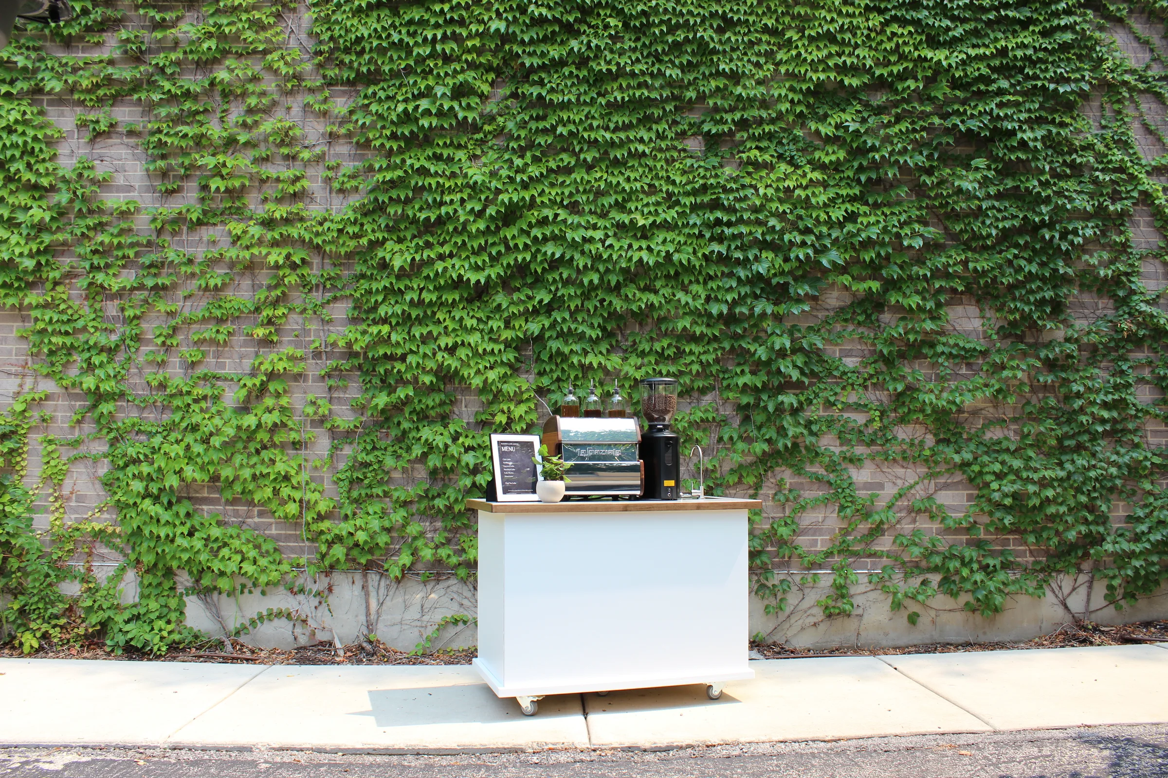 The Wooden Cow Coffee cart against an ivy wall